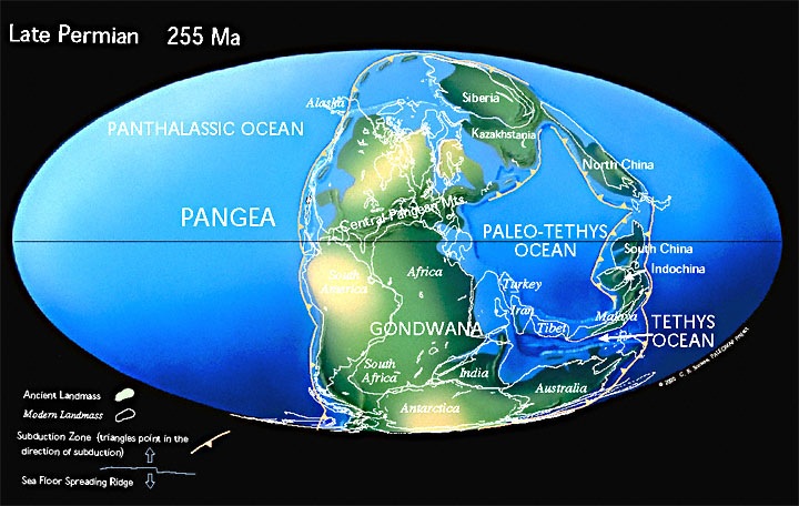 LatePermian_255Ma